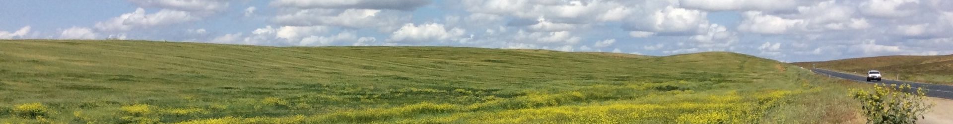 Porterville Cropped Shutterstock 734177401